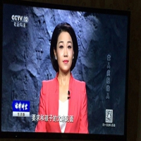 编造虚假恐怖信息罪北京海淀妇女扬言炸公交站获轻判